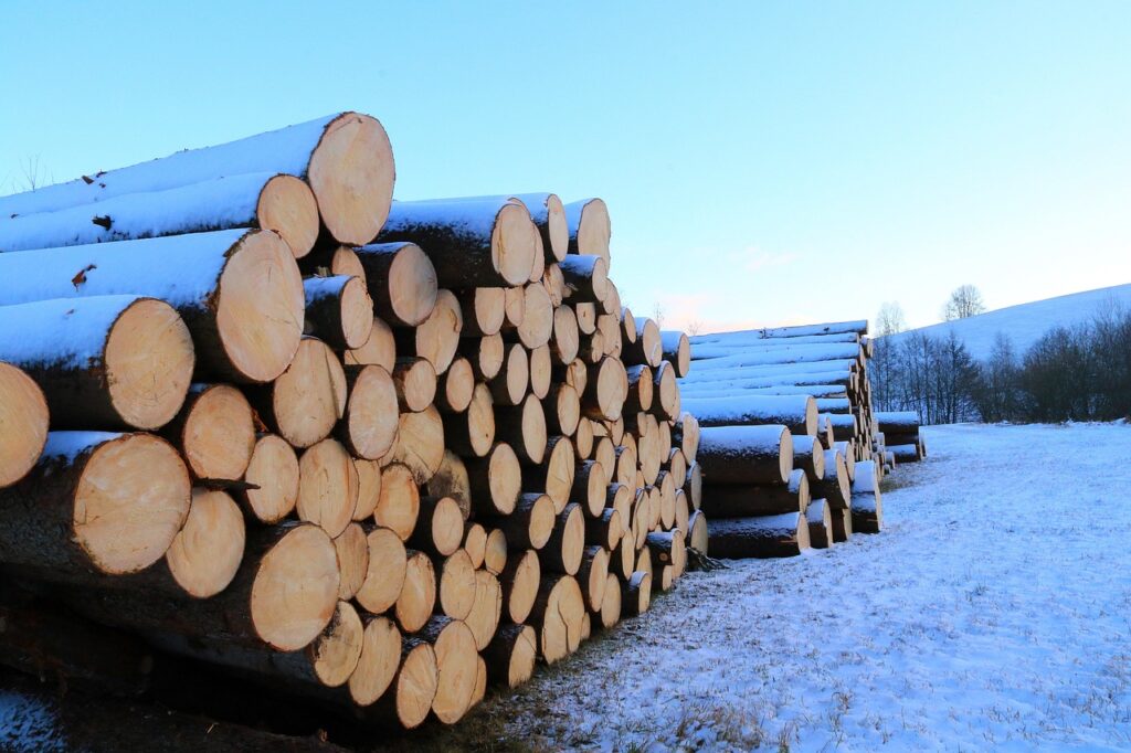 timber industry, tree trunks, logging-4743563.jpg